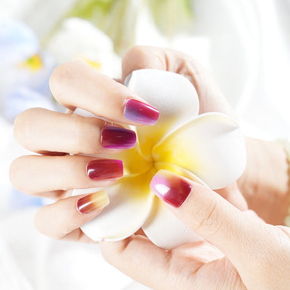 Ombre Gradient Press-On Nagelset Brehn