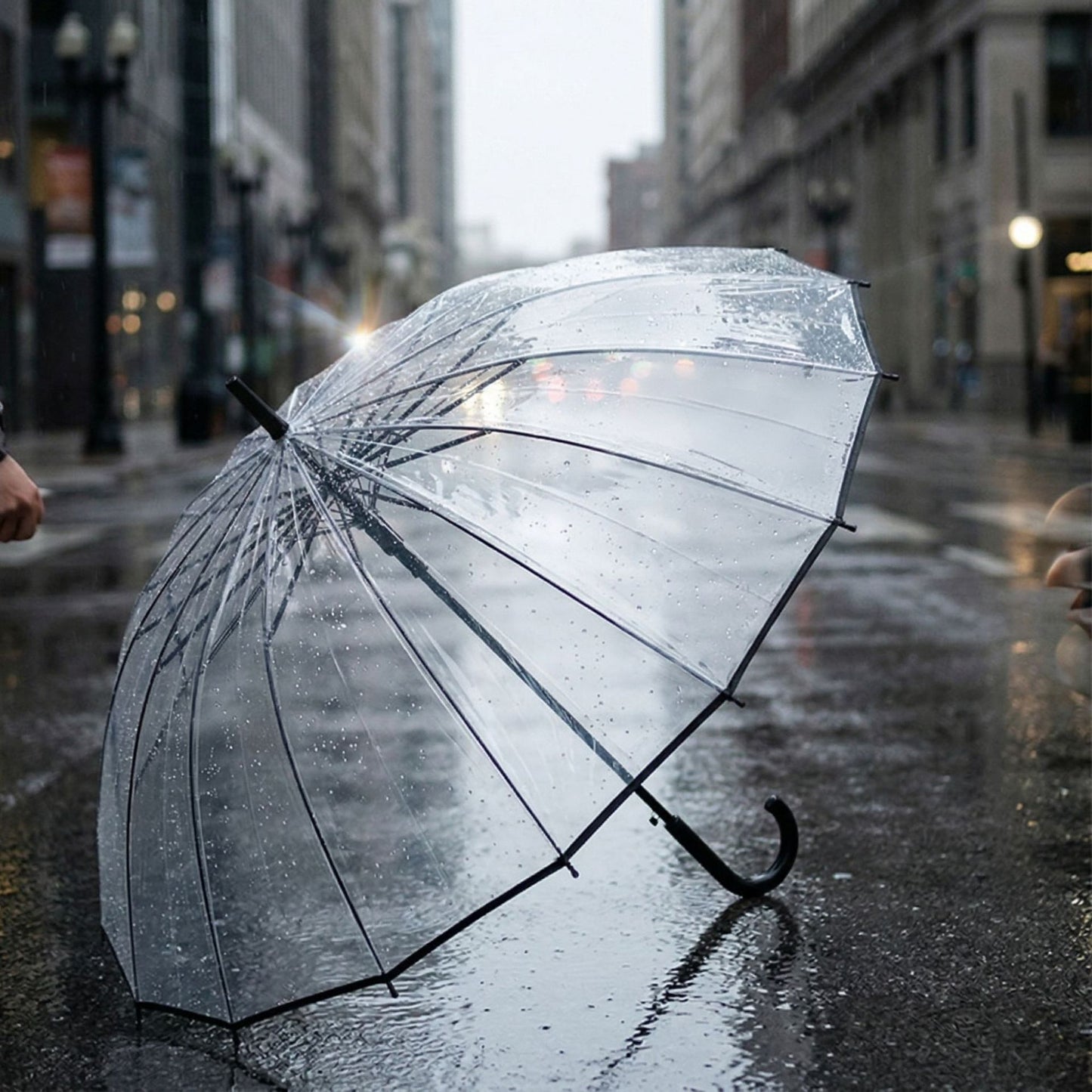 Damen transparenter Regenschirm Brehn