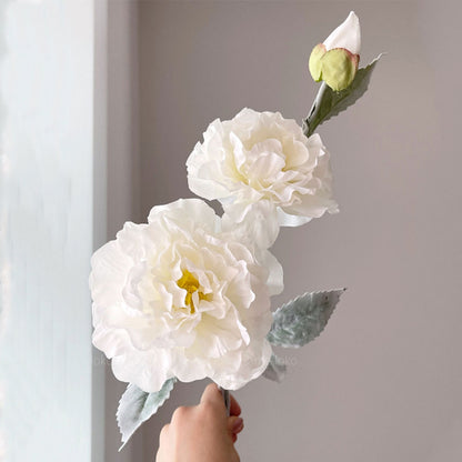 Realistische Pfingstrose Blumenstiel