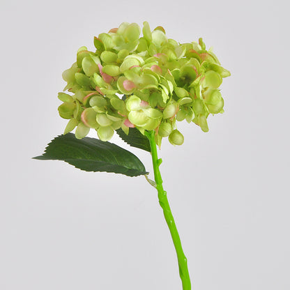 Elegante Kunsthortensienstängel