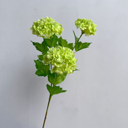Dekorative Hortensienstängel
