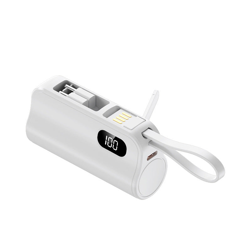 Tragbarer Powerbank mit LED-Anzeige Brehn