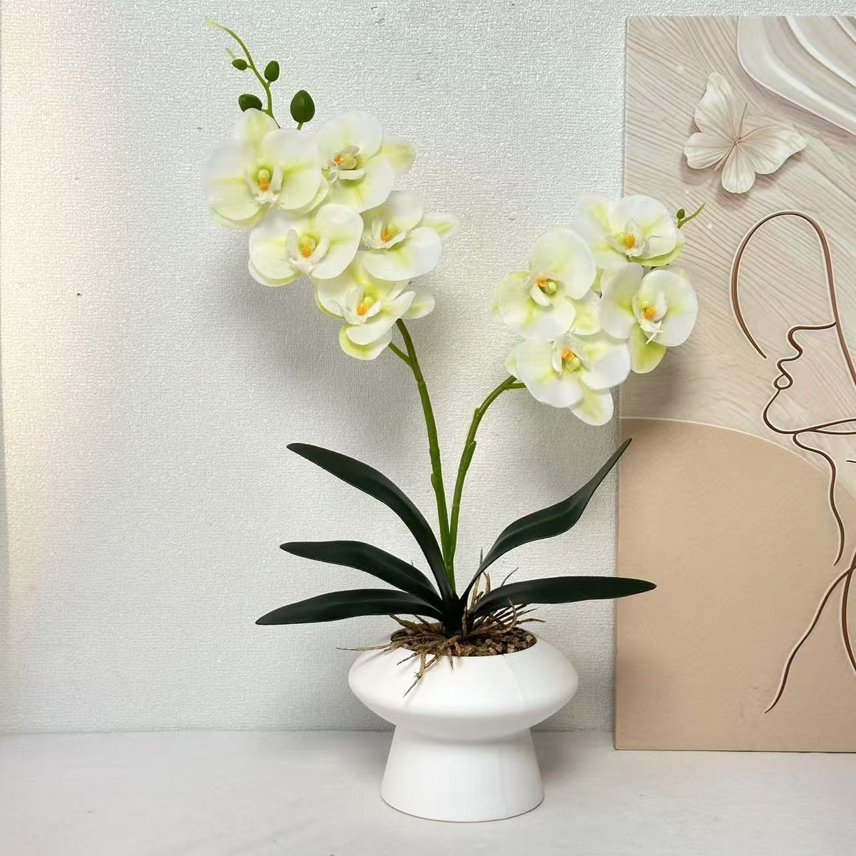 Dekorative Orchideenpflanze Tischmittelpunk