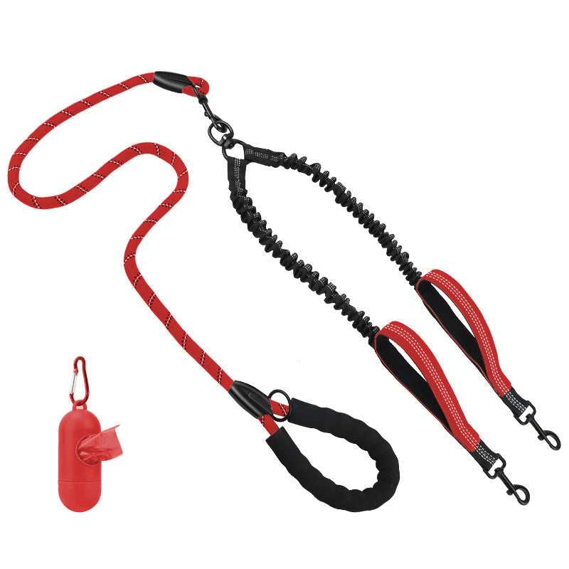 Hundetraining Leine