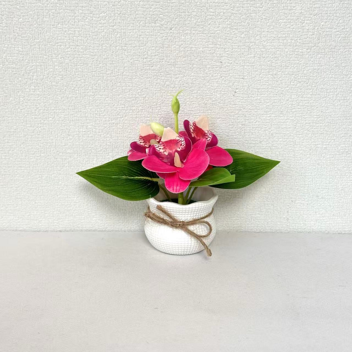 Dekorative Miniatur-Orchideen-Arrangement