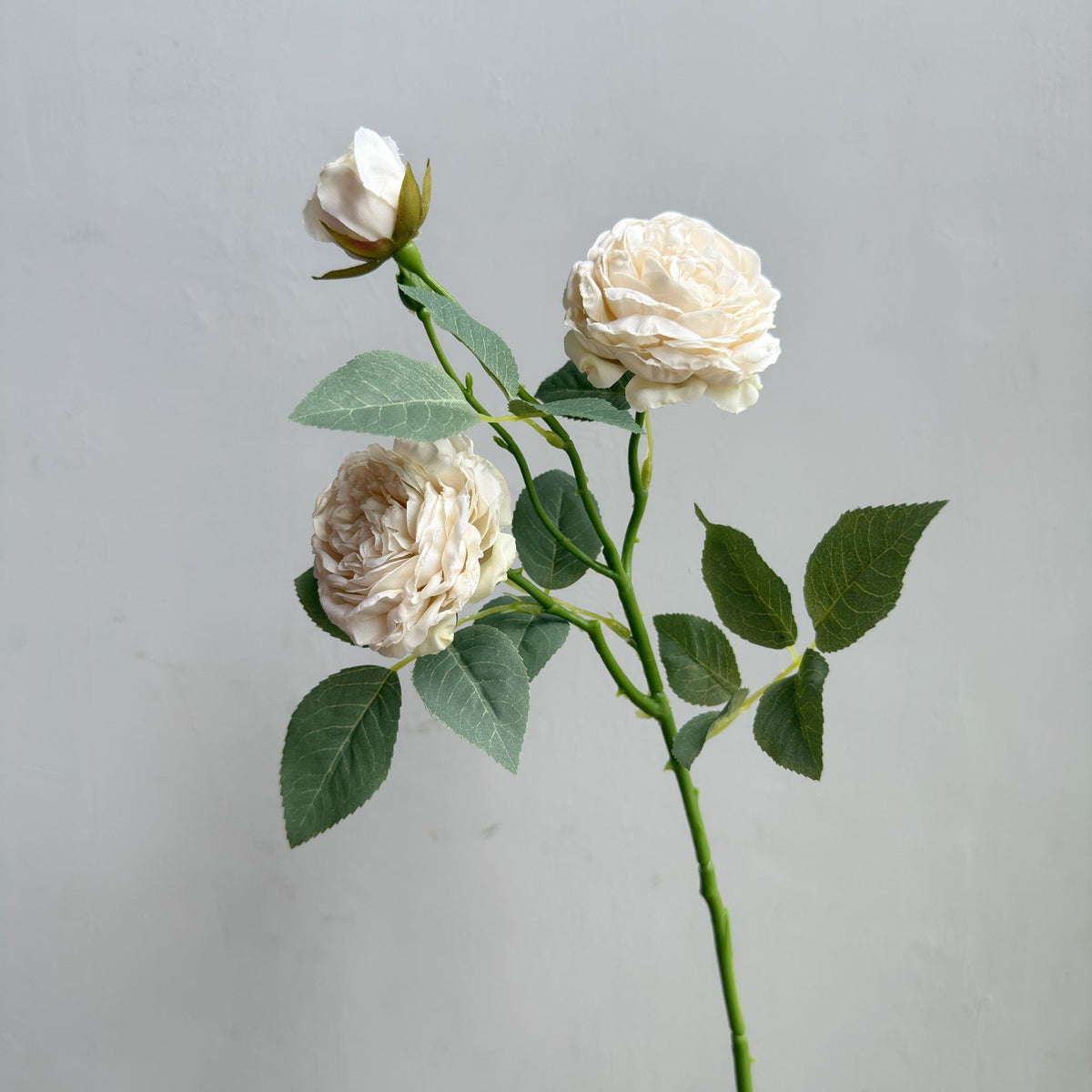 Moderne florale Dekoration