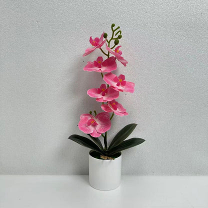 Lebensechte Dekorative Orchideenpflanze für die Innendekoration
