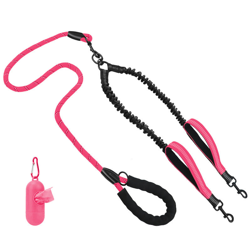 Hundetraining Leine