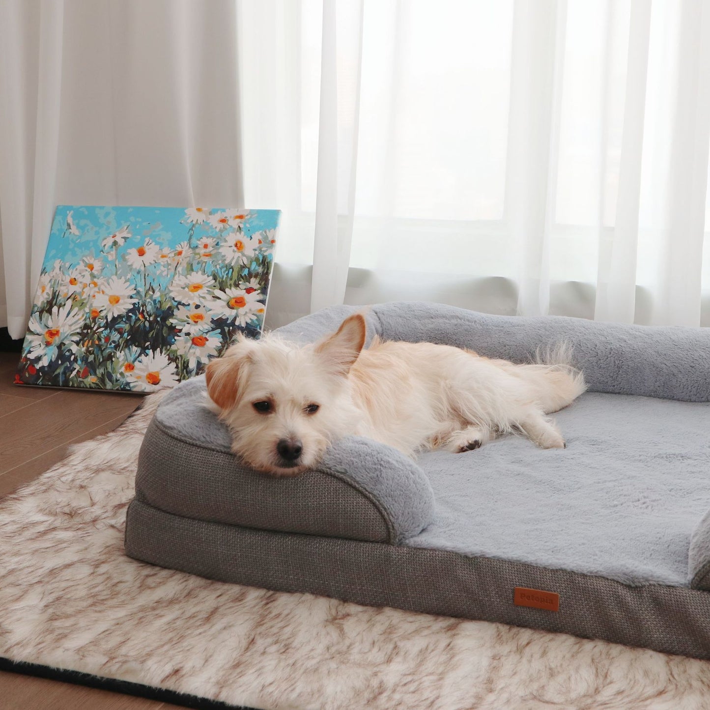 Luxuriöses orthopädisches Hundebett