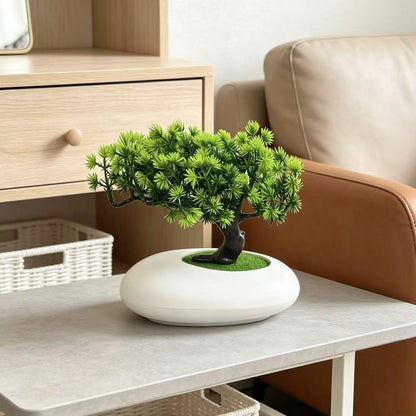 Lebensechter Bonsai Baum Ornament