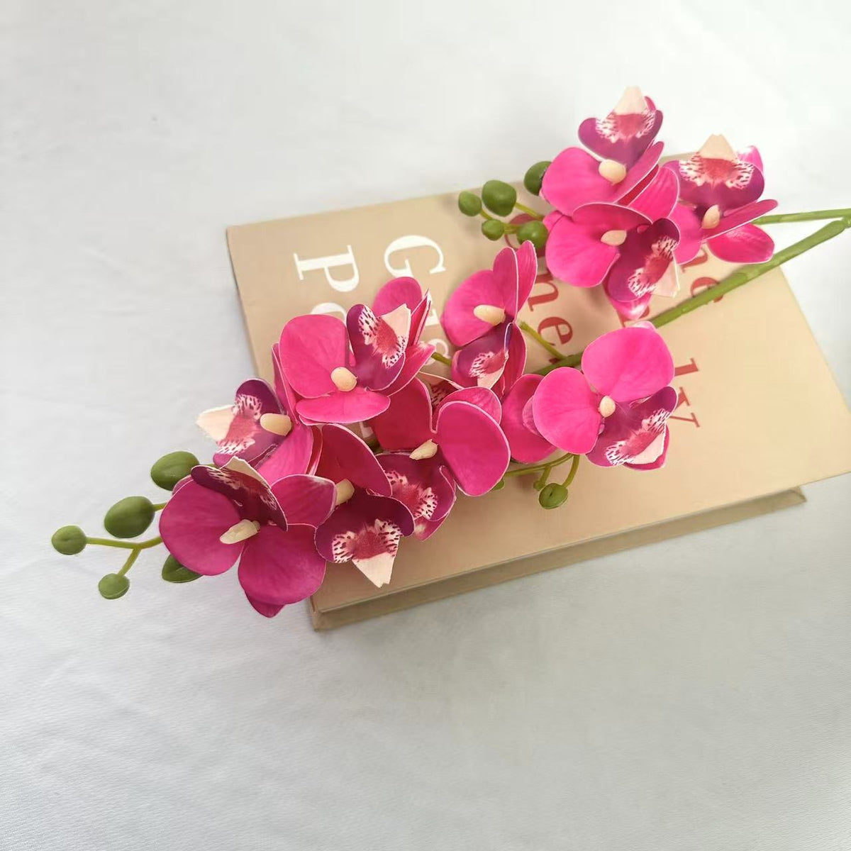 Dekorative Orchidee für die Innenraumgestaltung