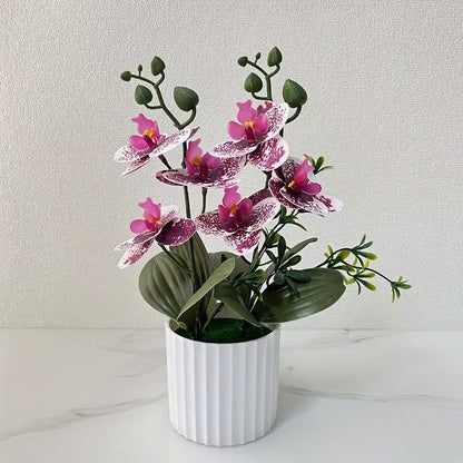 Elegante florale Orchideensträuße