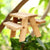 Outdoor Mini Picknicktisch Brehn