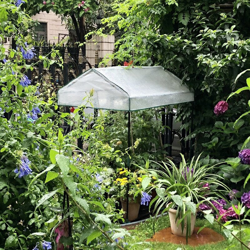 Garten Gewächshaus