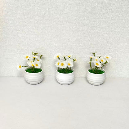 Dekorative Miniatur-Gänseblümchentöpfe