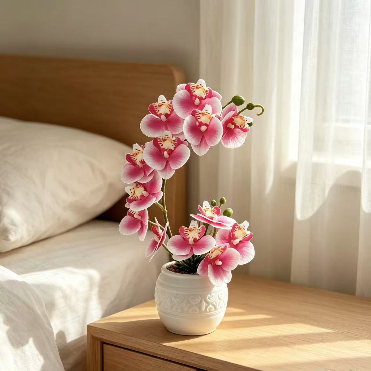 Premium Orchideenpflanzenarrangement