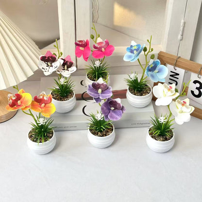 Dekorative Miniaturorchideen-Tischdekoration