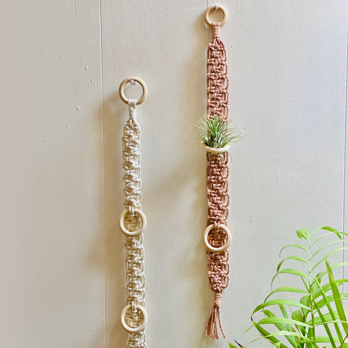 Macrame Wand Pflanzenhalter Brehn