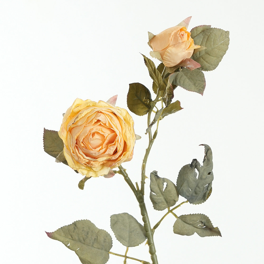 Lebensnahe Pinke Rosenstiel