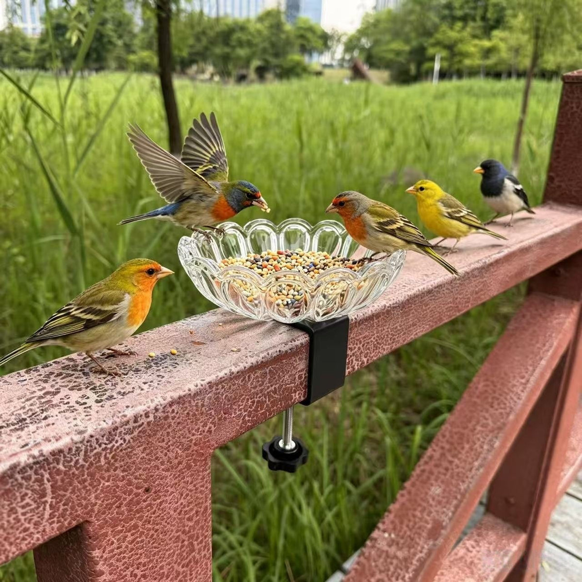 Elegante Vogel-Fütterungsstation Brehn