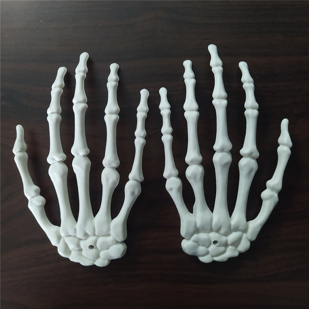 Anatomisches Hand-Skelettmodell Brehn