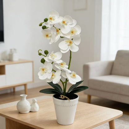 Elegante Kunst-Orchideenpflanze Anzeige