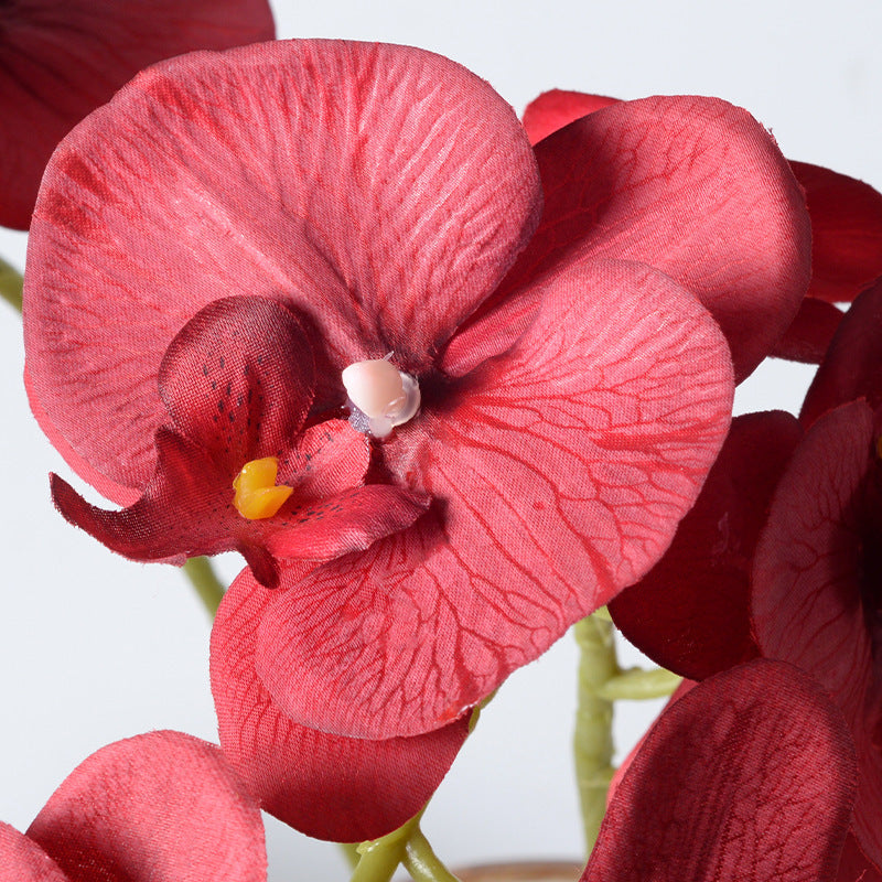 Elegante künstliche Orchideenstiele