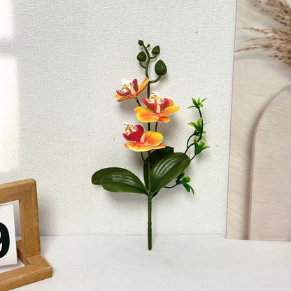 Elegante Orchideen Blumenarrangement