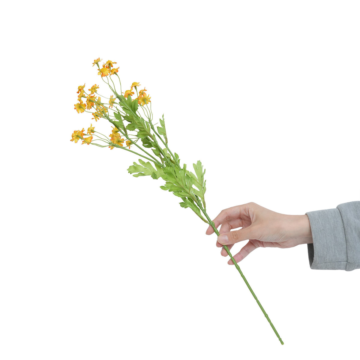 Realistische gelbe Wildblumenstiel