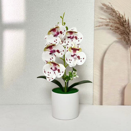 Lebensechte florale Orchideenpflanze für die Wohnkultur