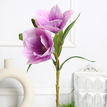 Elegantes Magnolien-Blumenarrangement für die Wohnkultur