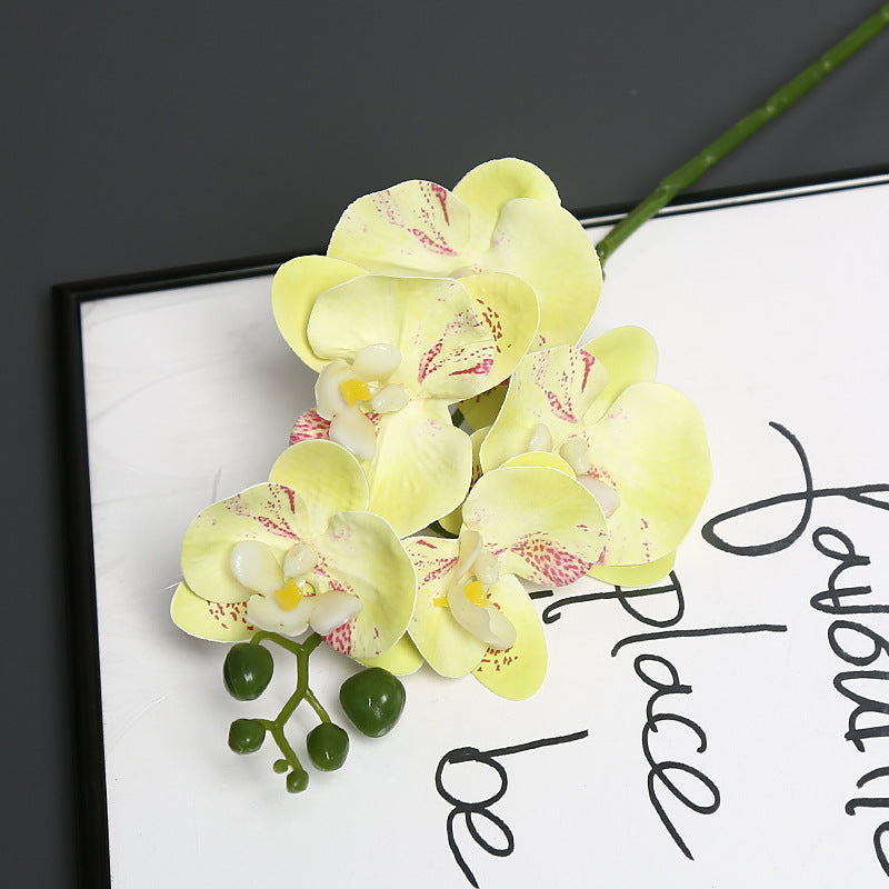 Lebensechter Orchideenblütenstiel