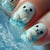 3D Seal-Themen-Nagelkunst Brehn