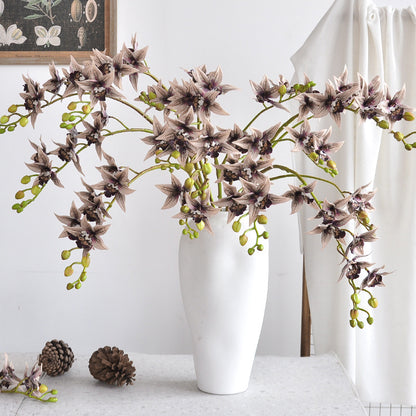 Dekorative Orchideenstiel