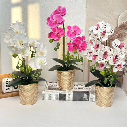 Künstliche Orchidee Florale Anzeige für Innenraumdeko
