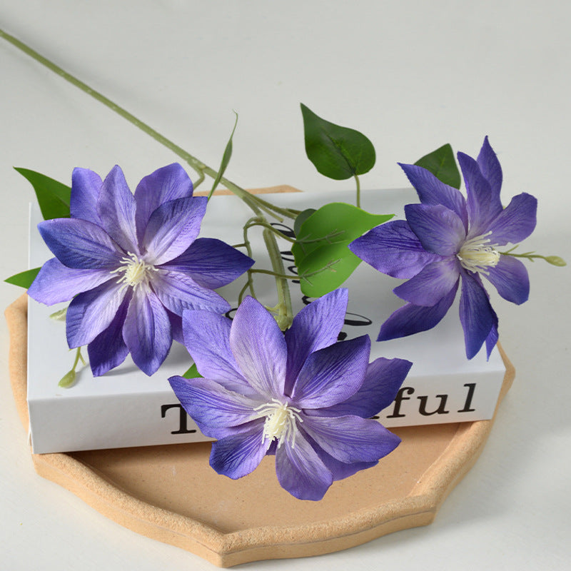 Dekorativer floraler Clematis-Stängel