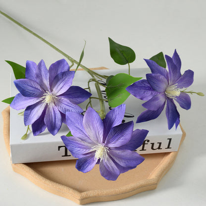Dekorativer floraler Clematis-Stängel
