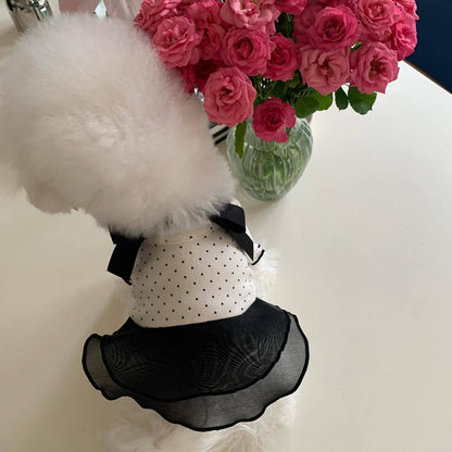 Polka Dot Chiffon Kleid für Haustiere mit Grosgrain