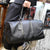Stilvolle und Geräumige Reisetasche Im Eleganten Flechtdesign Brehn