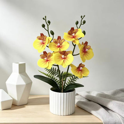 Realistische Orchideenpflanzenanordnung