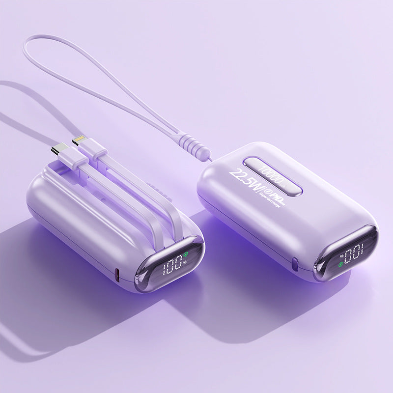 Powerbank Brehn