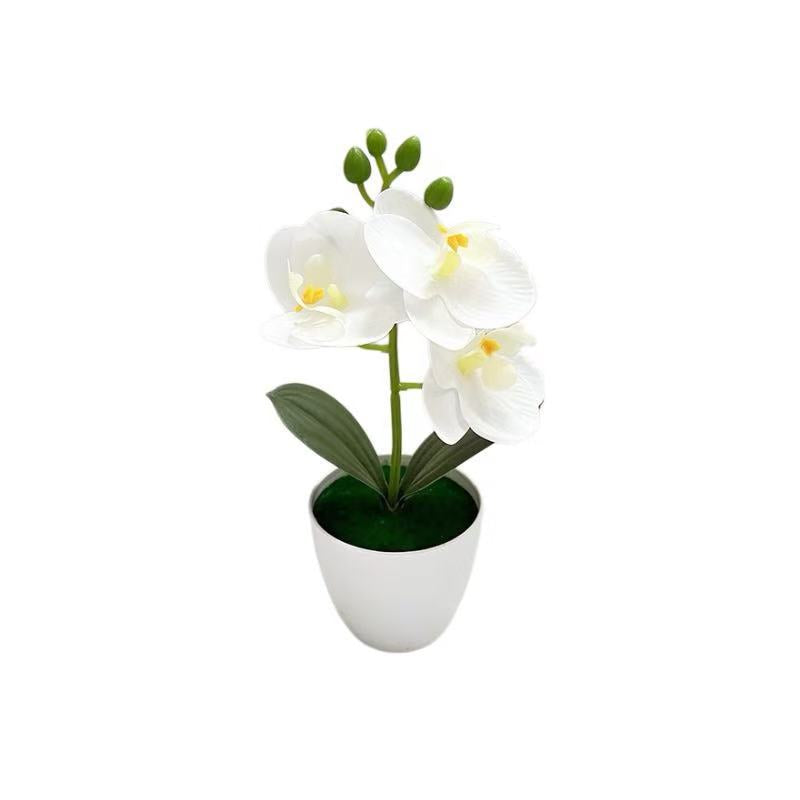 Lebensechte Orchideenblumenarrangement