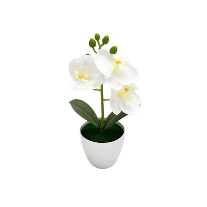 Lebensechte Orchideenblumenarrangement