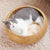 Katzenbett mit Runder Rattandekoration Brehn