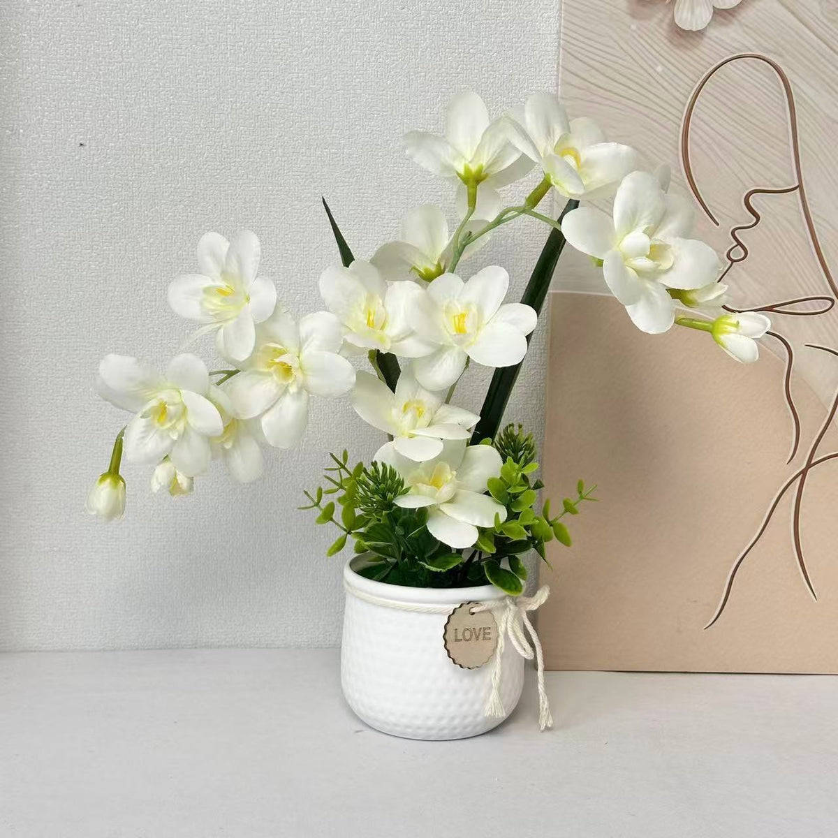 Dekorative Orchideenpflanze Anzeige