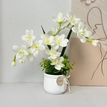 Dekorative Orchideenpflanze Anzeige