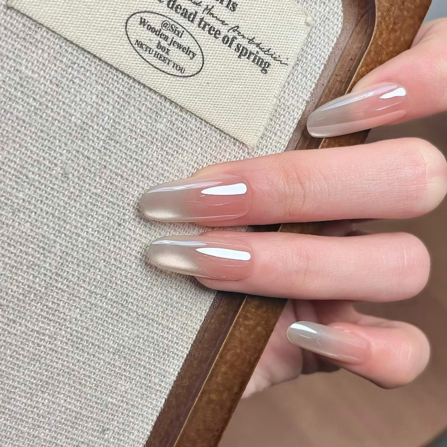 Elegante Ombre Nagelkunst Brehn