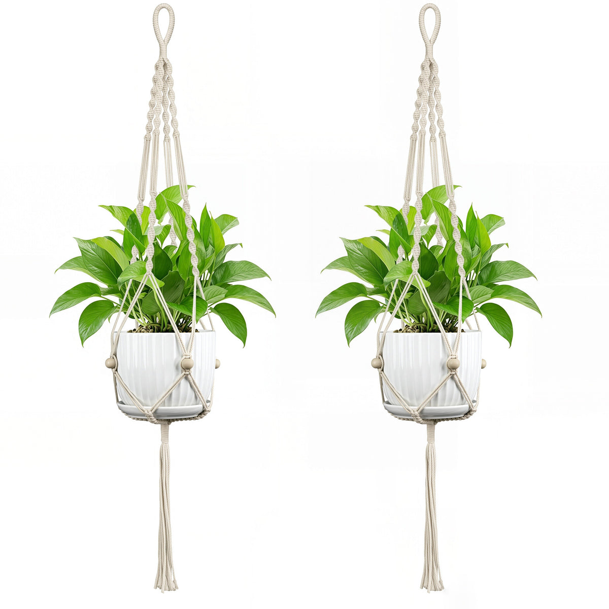 Macramé Pflanzenhänger
