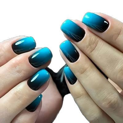 Glitzerndes Ombre Nagelset Brehn