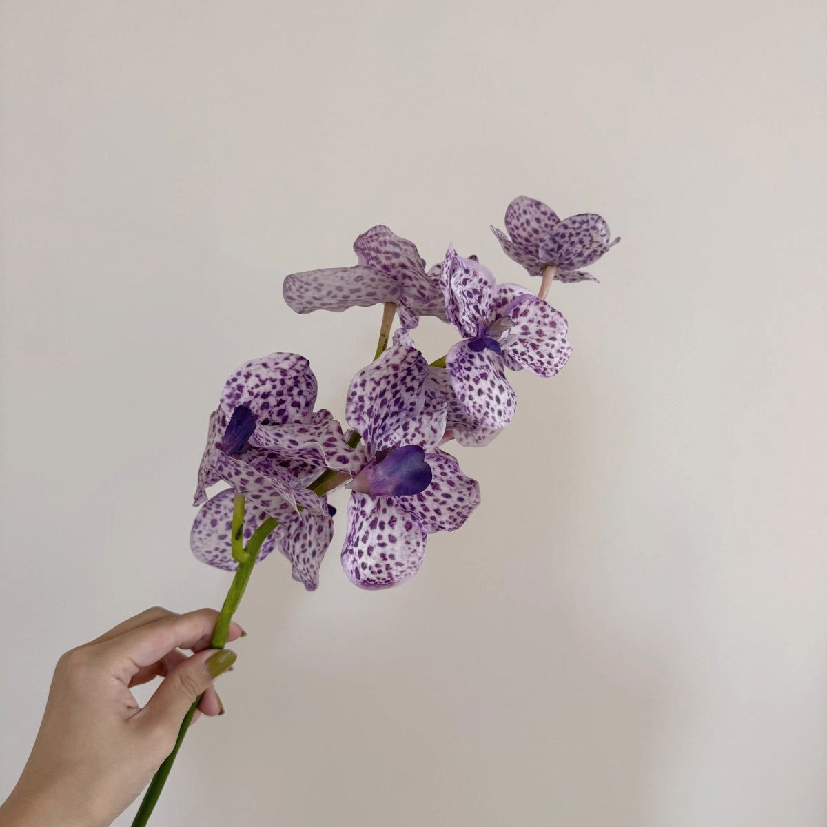 Elegante Künstliche Orchideenstängel